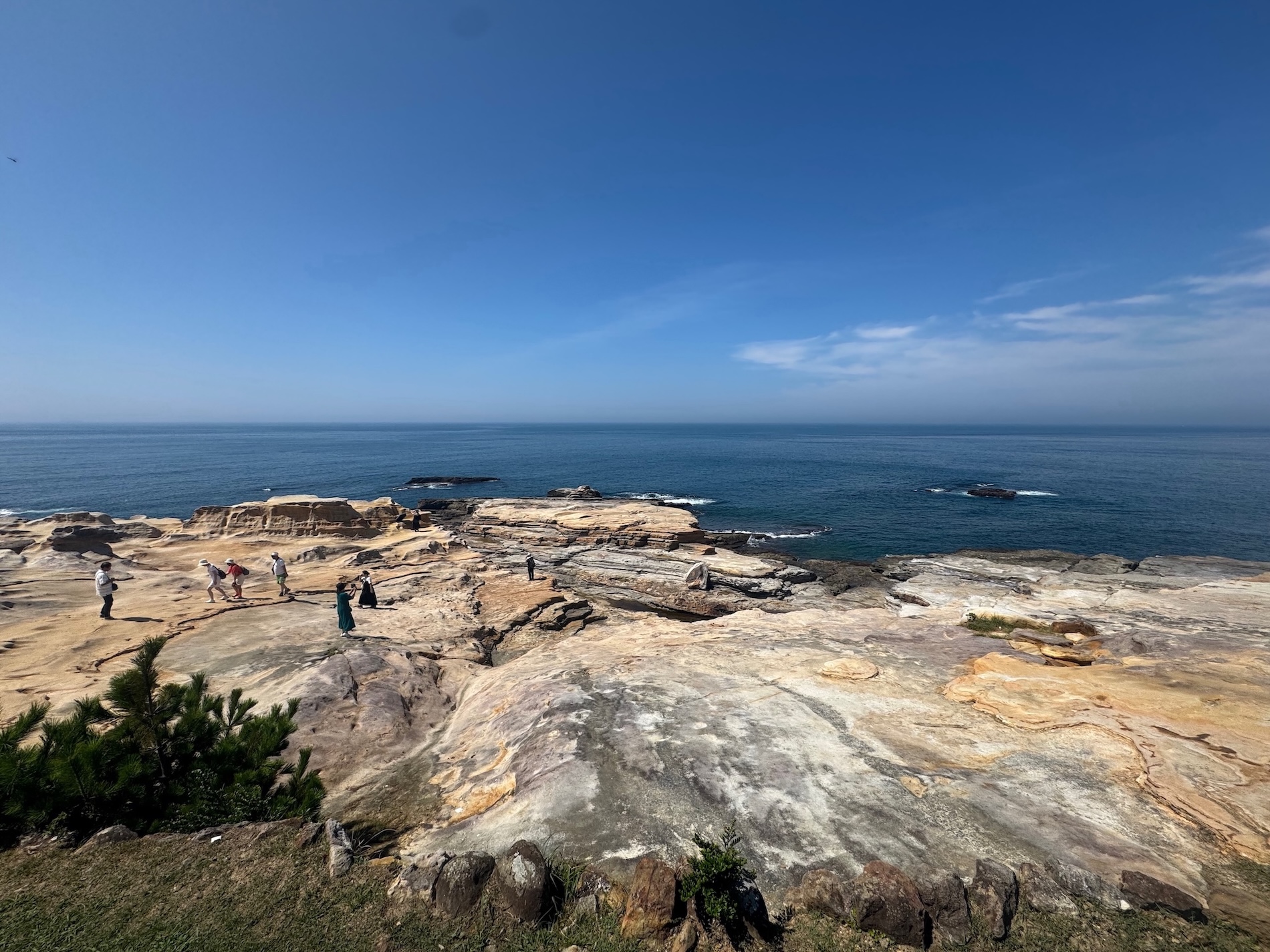 2025，我的第10个年度总结